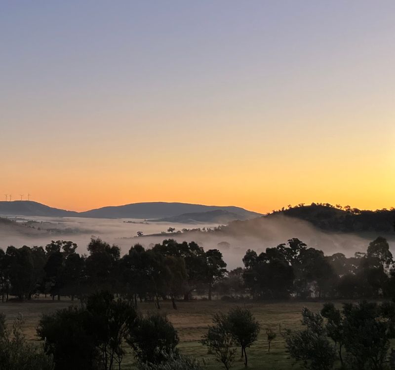 The Grampians mountains showing the fog influence that occurs in this cool climate wine growing region