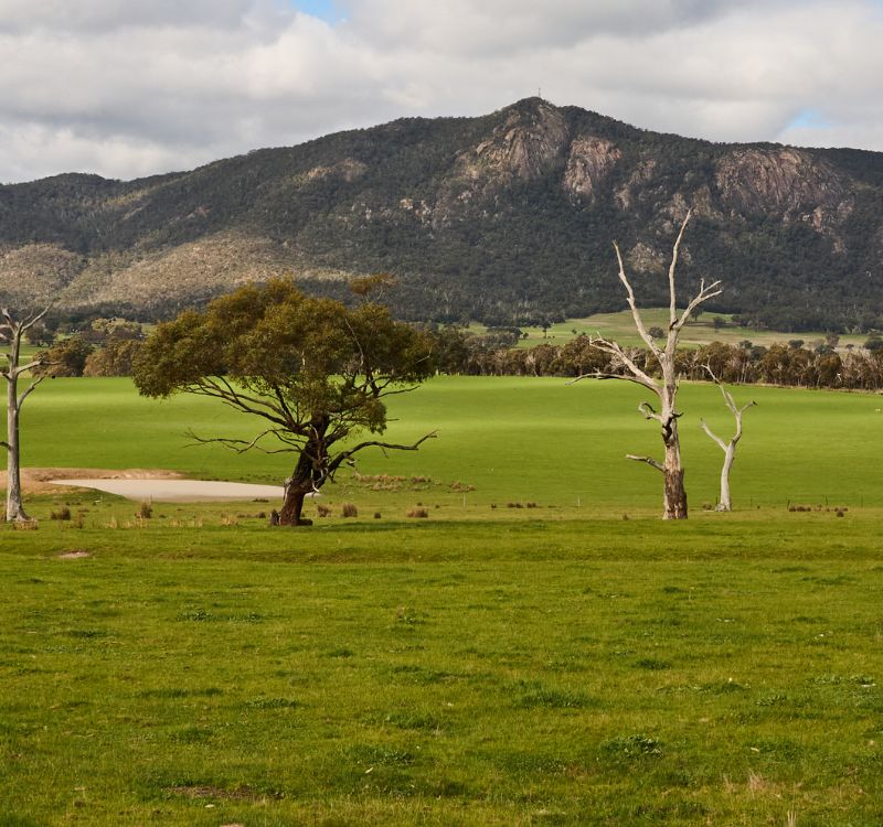the view of the grampians mountain range in the grampians wine region where subrosa wines are crafted
