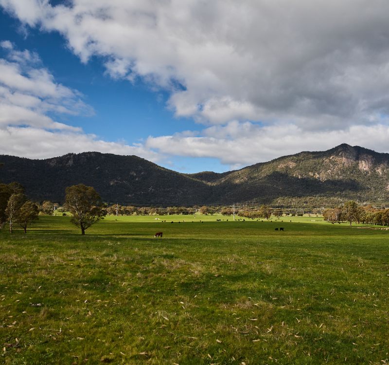 Subrosa wines are sourced from the rugged grampians. The area is mountainous with wide open pastures.