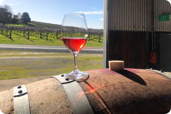 glass of subrosa rose wine placed on a barrel with the grampians vineyards in the background