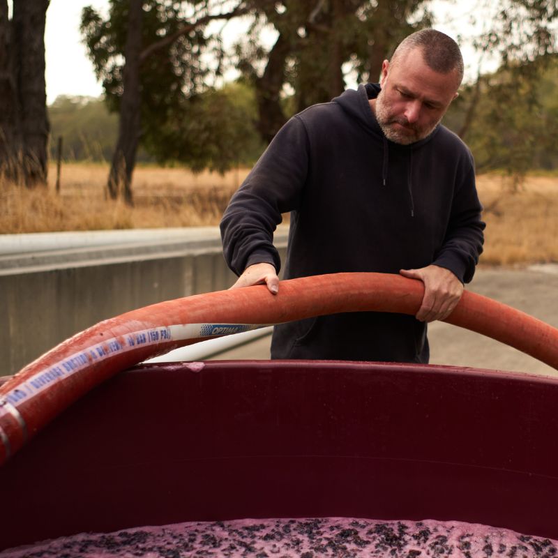 adam louder, winemaker for subrosa, making cool climate shiraz from grampians. pumping grapes into the fermentation tank