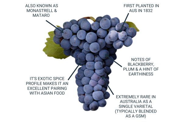 mourvedre fast facts by subrosa wine
