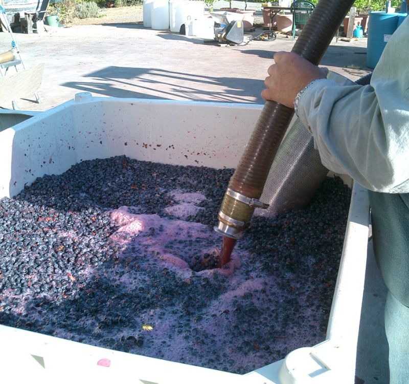 adam louder, winemaker for subrosa 2017 cab sav pumping the grapes