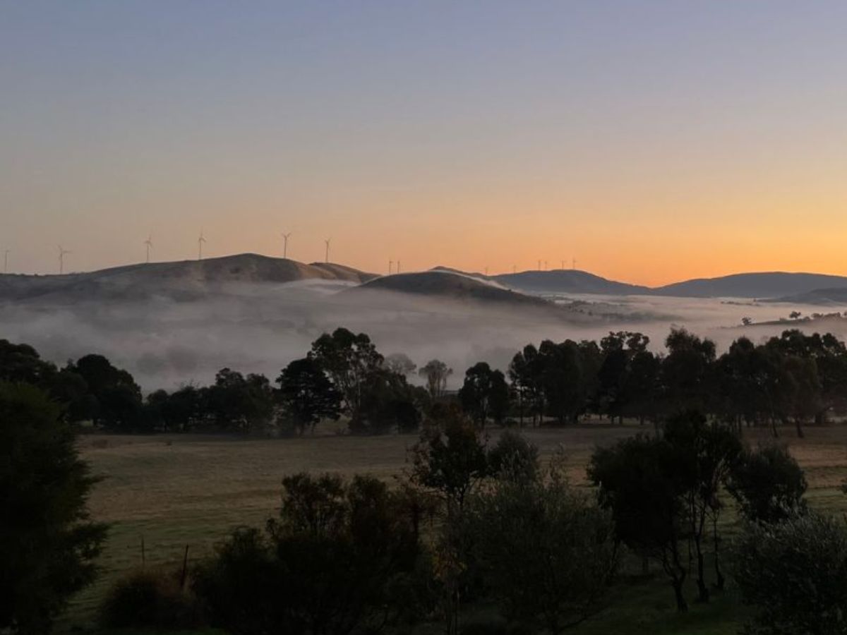 a view of the grampians ranges from the subrosa winery. fog is settled in the valley