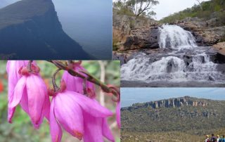 list of things to do in the grampians during spring