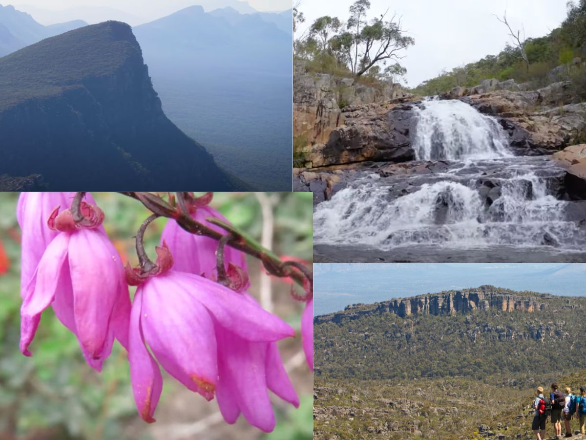 list of things to do in the grampians during spring